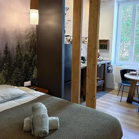 Craft - Le Menuisier - Balneo - Parking Privé * Saint-Etienne (Loire)